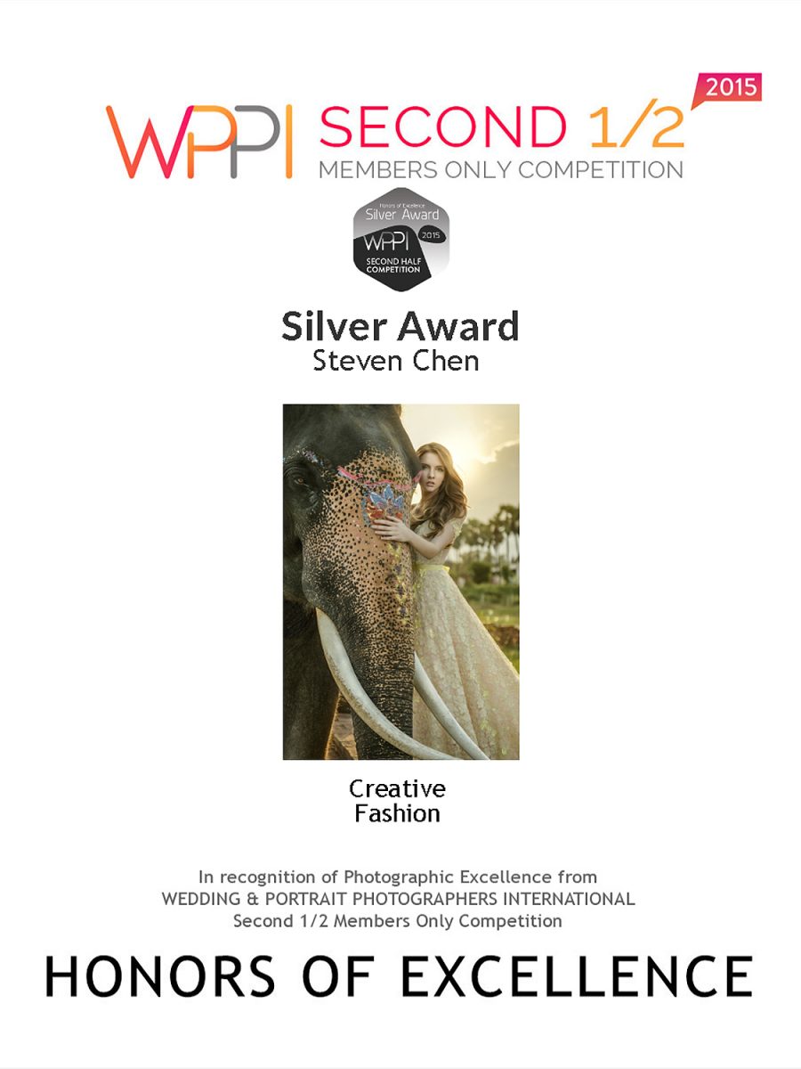2015 WPPI Second Half Online competition Silver Award of Creative Division – Fashion