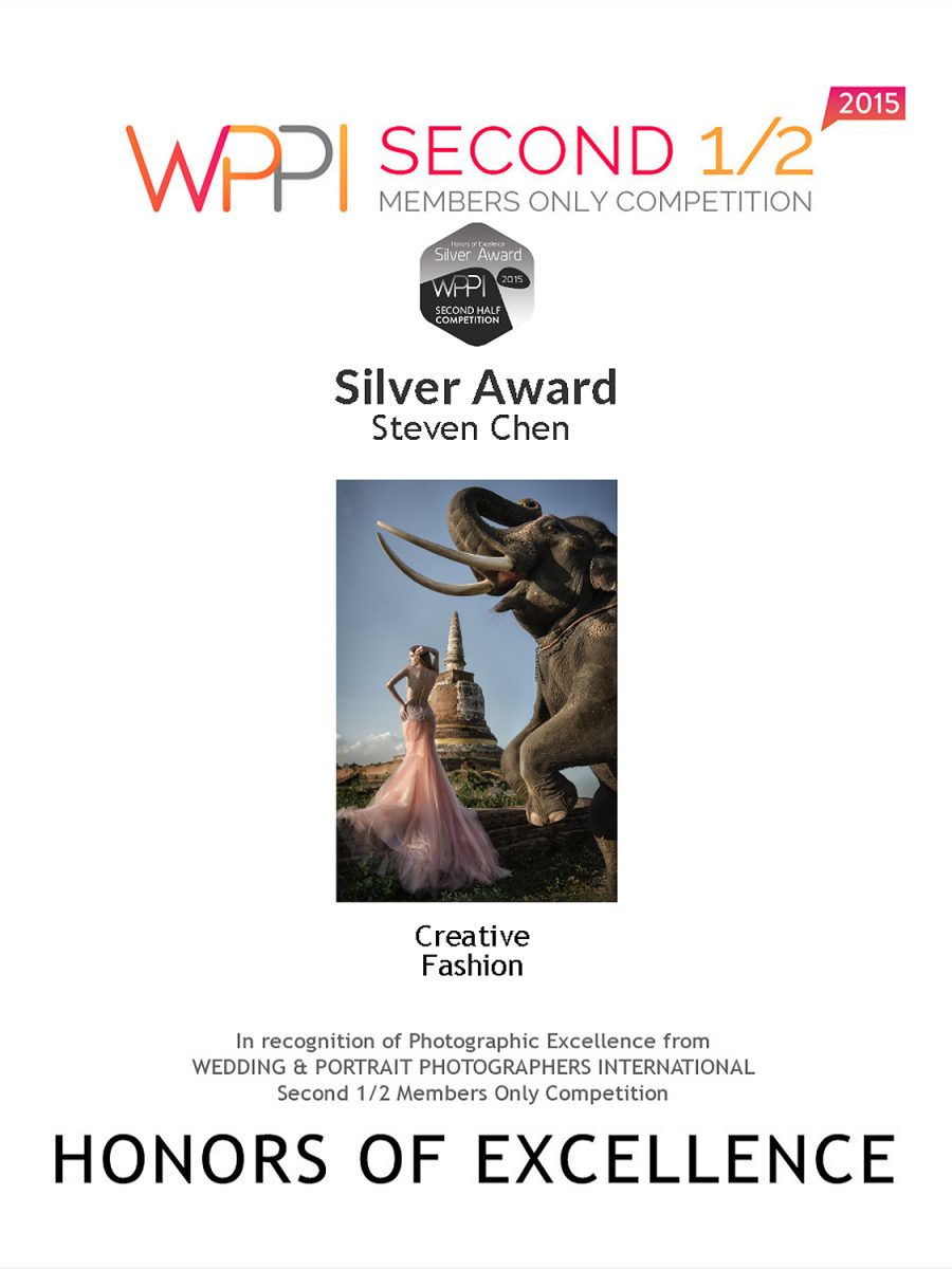 2015 WPPI Second Half Online competition Silver Award of Creative Division – Fashion